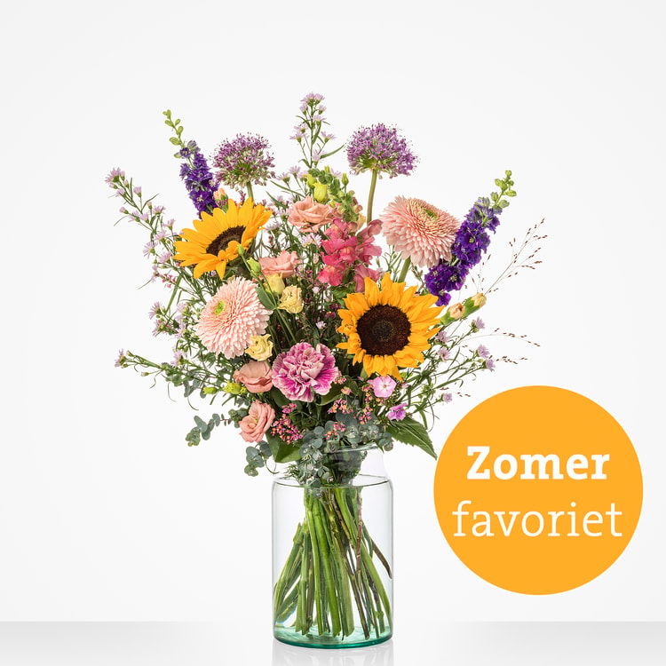 Zomerpracht hover